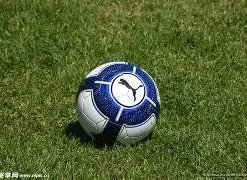 流量明星助,力无果,黄晓明新片,28圈网页版,28圈网页版官网,28圈H5网页版,28圈app官网进入