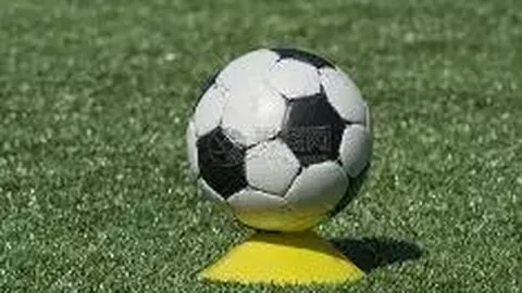 美国年轻学子因学贷压力逃离现境